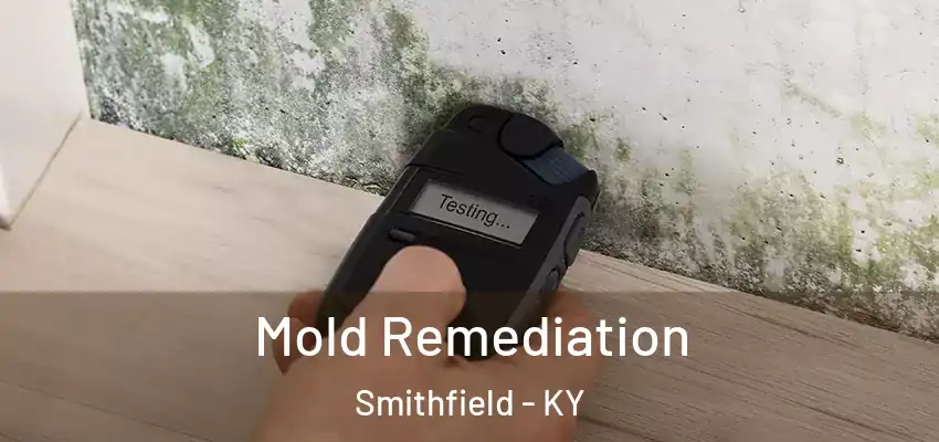  Mold Remediation Smithfield - KY