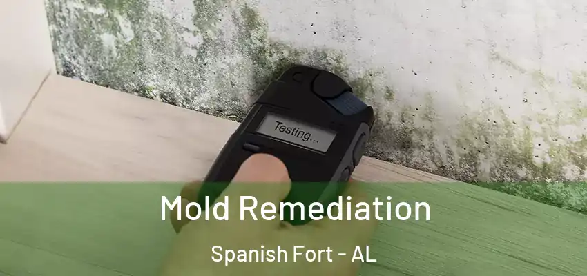 Mold Remediation Spanish Fort - AL