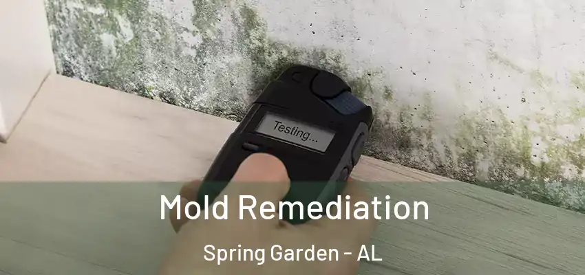 Mold Remediation Spring Garden - AL