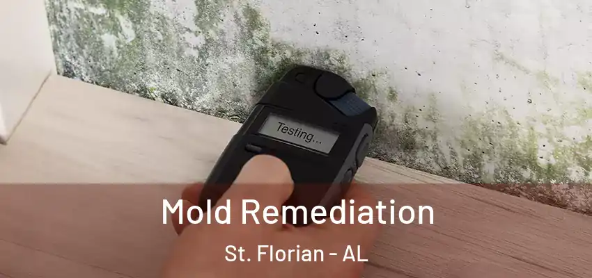 Mold Remediation St. Florian - AL