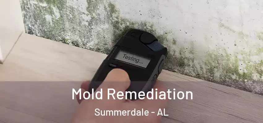 Mold Remediation Summerdale - AL