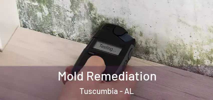 Mold Remediation Tuscumbia - AL