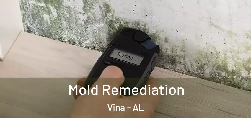  Mold Remediation Vina - AL