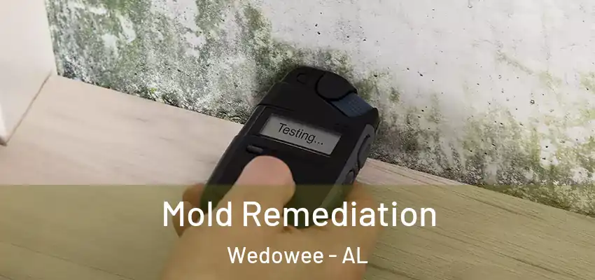  Mold Remediation Wedowee - AL