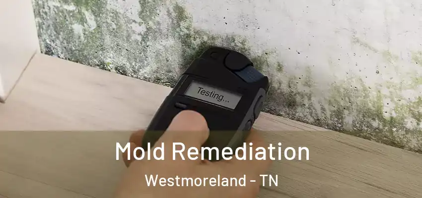  Mold Remediation Westmoreland - TN