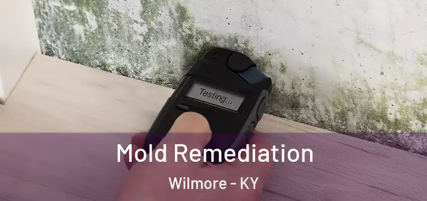  Mold Remediation Wilmore - KY