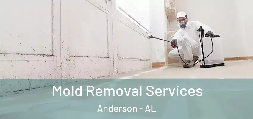  Mold Removal Services Anderson - AL