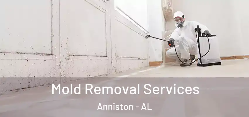  Mold Removal Services Anniston - AL