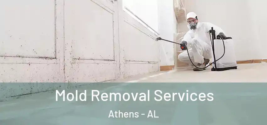  Mold Removal Services Athens - AL