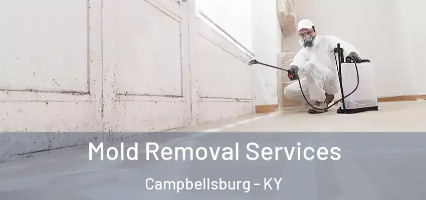 Mold Removal Services Campbellsburg - KY