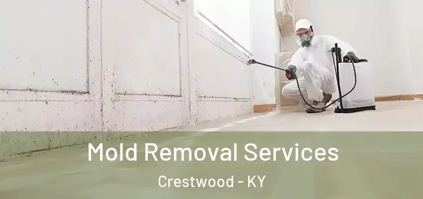 Mold Removal Services Crestwood - KY
