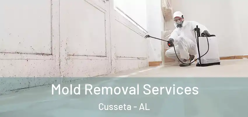 Mold Removal Services Cusseta - AL