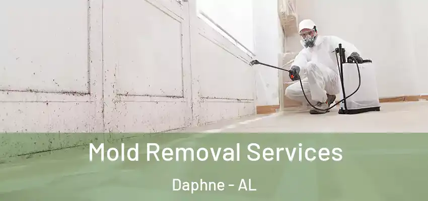 Mold Removal Services Daphne - AL
