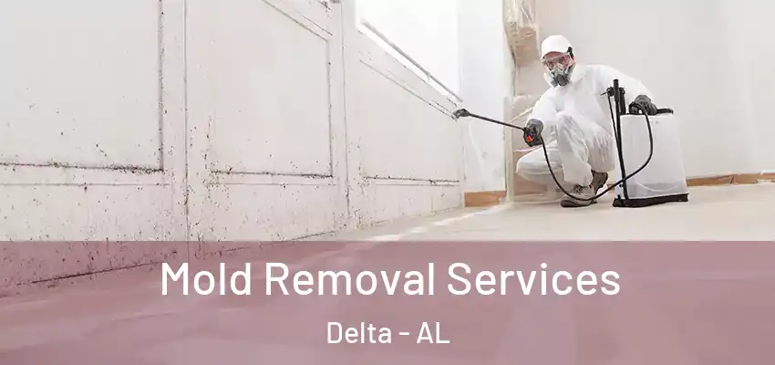  Mold Removal Services Delta - AL