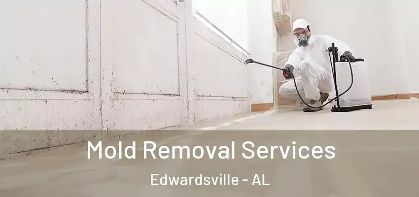 Mold Removal Services Edwardsville - AL
