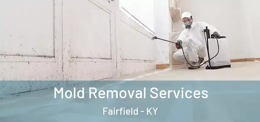  Mold Removal Services Fairfield - KY