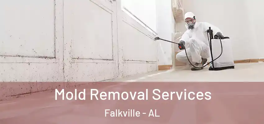 Mold Removal Services Falkville - AL