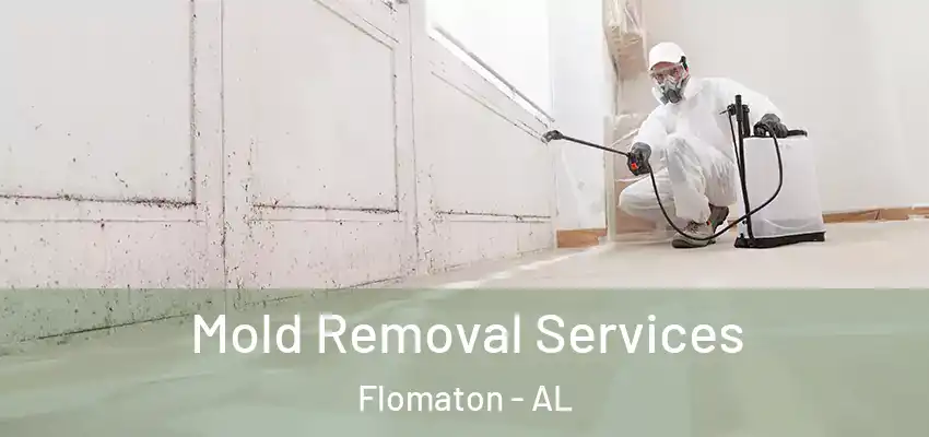 Mold Removal Services Flomaton - AL