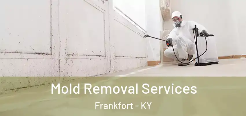 Mold Removal Services Frankfort - KY