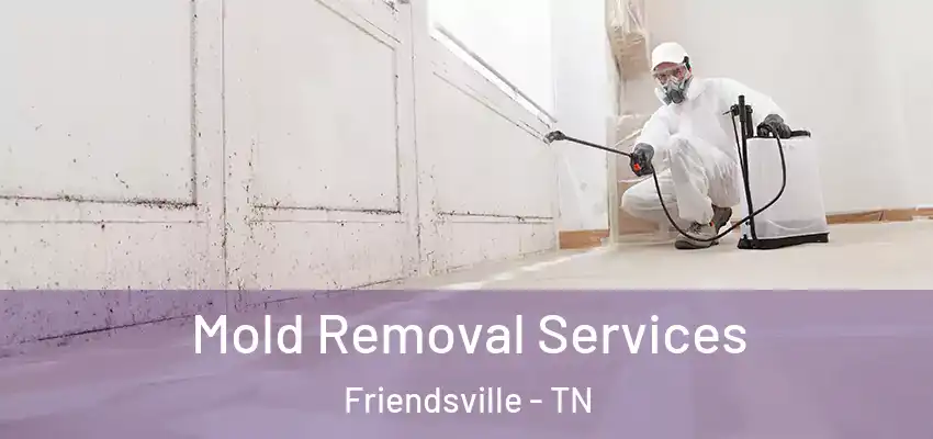 Mold Removal Services Friendsville - TN