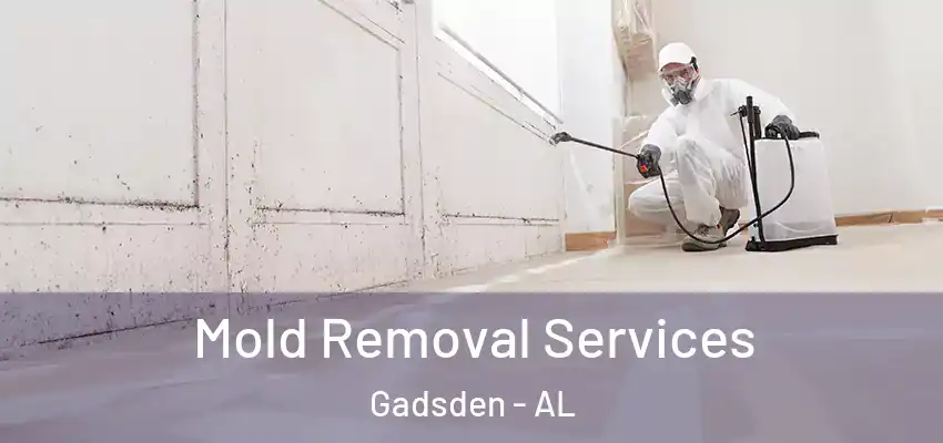 Mold Removal Services Gadsden - AL