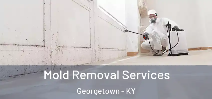  Mold Removal Services Georgetown - KY