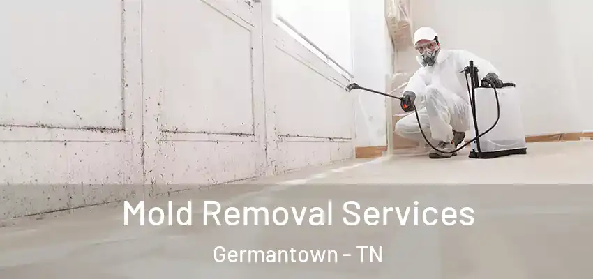 Mold Removal Services Germantown - TN