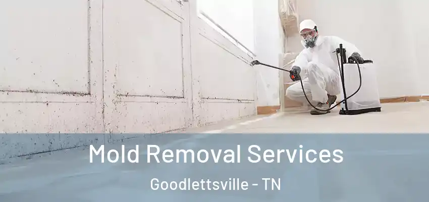 Mold Removal Services Goodlettsville - TN