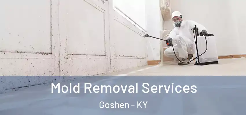  Mold Removal Services Goshen - KY