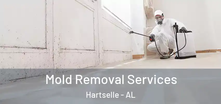 Mold Removal Services Hartselle - AL