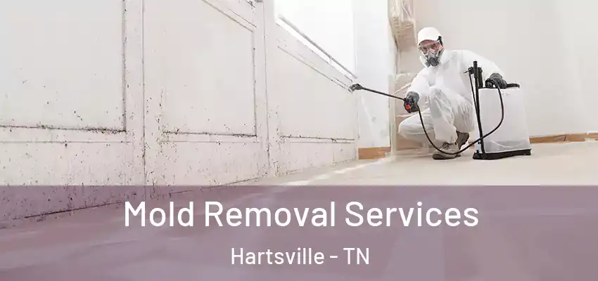 Mold Removal Services Hartsville - TN
