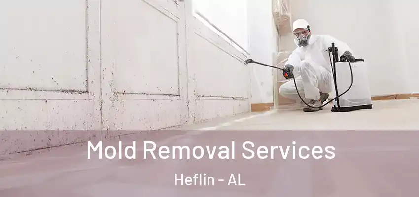  Mold Removal Services Heflin - AL