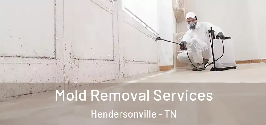 Mold Removal Services Hendersonville - TN