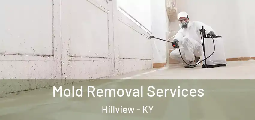  Mold Removal Services Hillview - KY