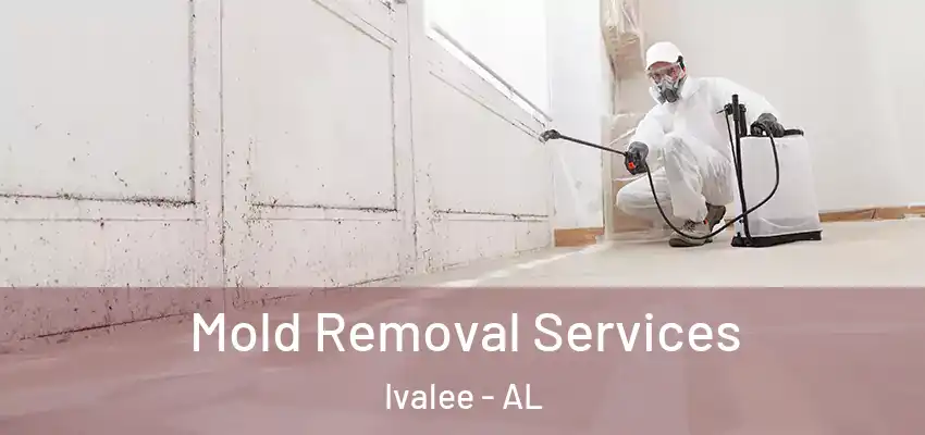  Mold Removal Services Ivalee - AL