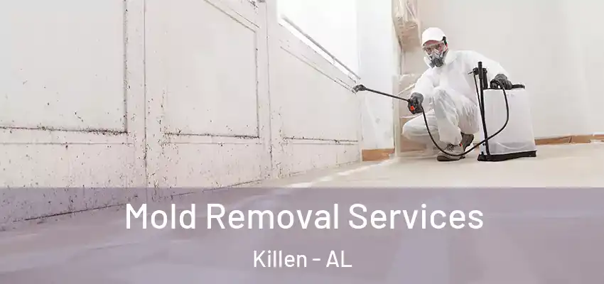  Mold Removal Services Killen - AL
