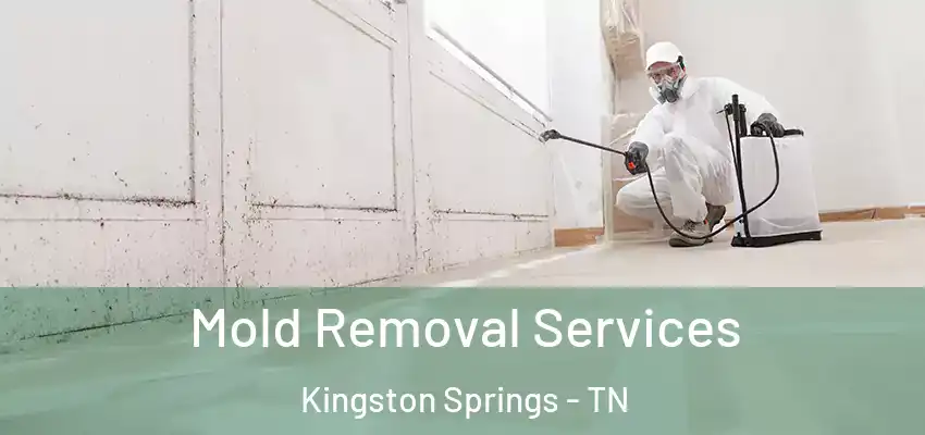 Mold Removal Services Kingston Springs - TN