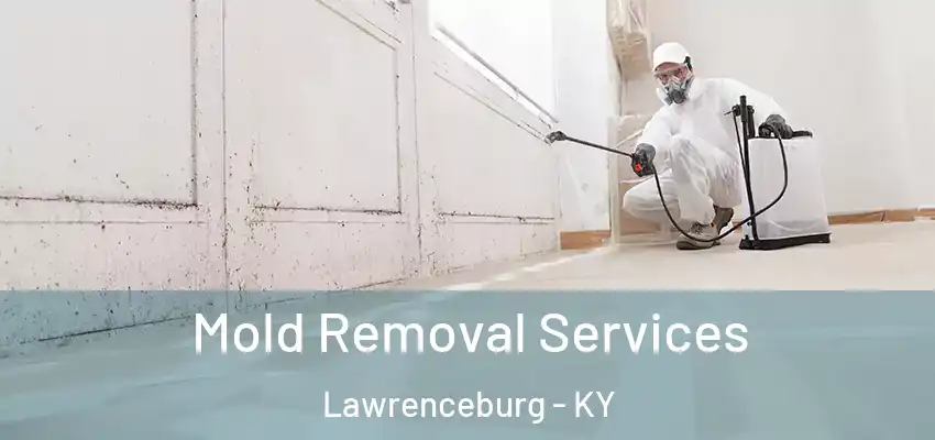  Mold Removal Services Lawrenceburg - KY