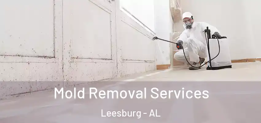 Mold Removal Services Leesburg - AL