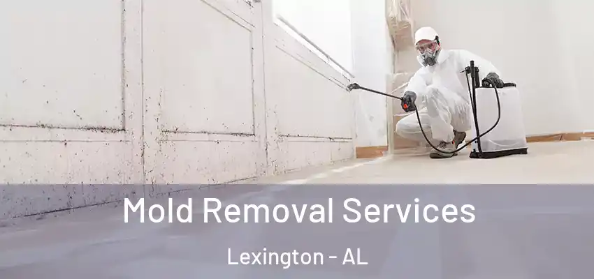 Mold Removal Services Lexington - AL