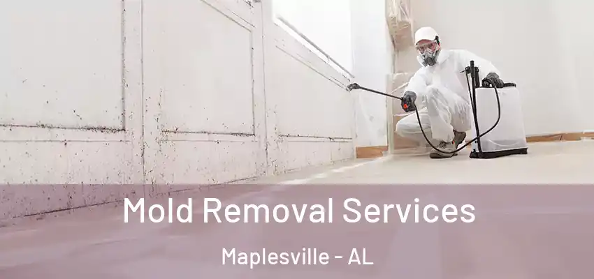 Mold Removal Services Maplesville - AL