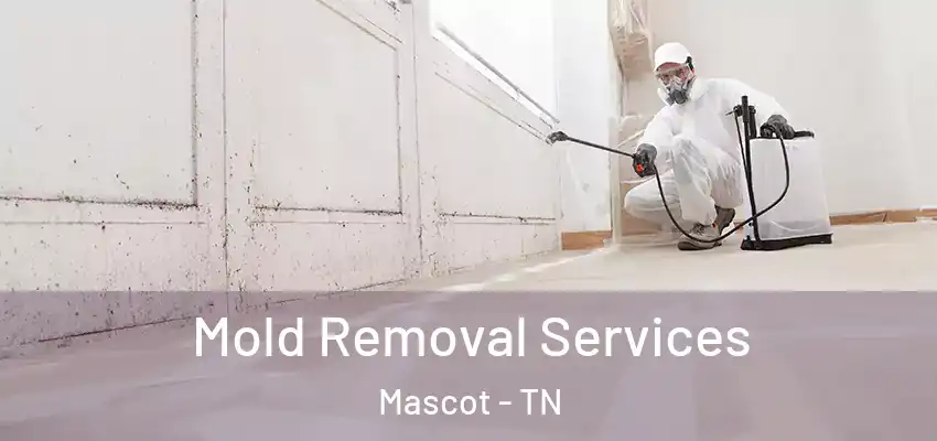  Mold Removal Services Mascot - TN