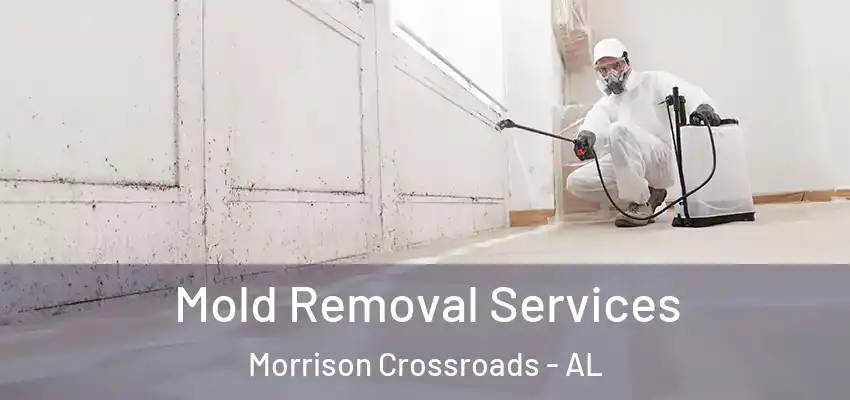  Mold Removal Services Morrison Crossroads - AL