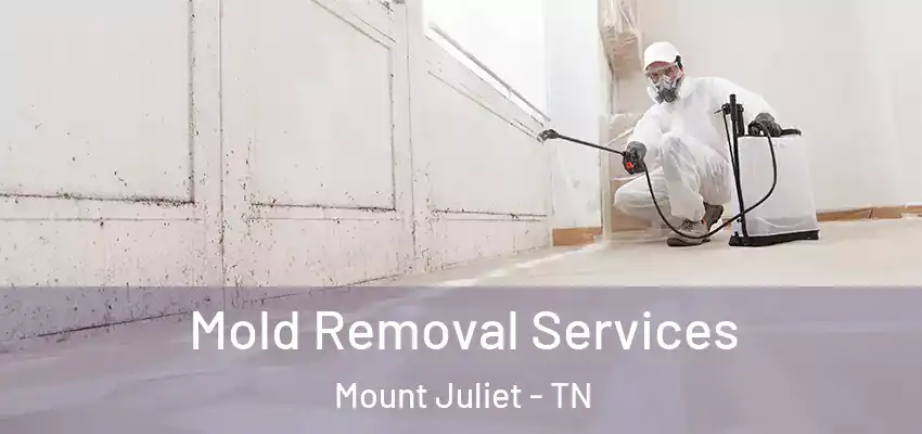 Mold Removal Services Mount Juliet - TN