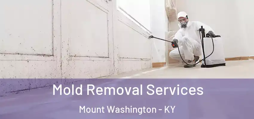  Mold Removal Services Mount Washington - KY