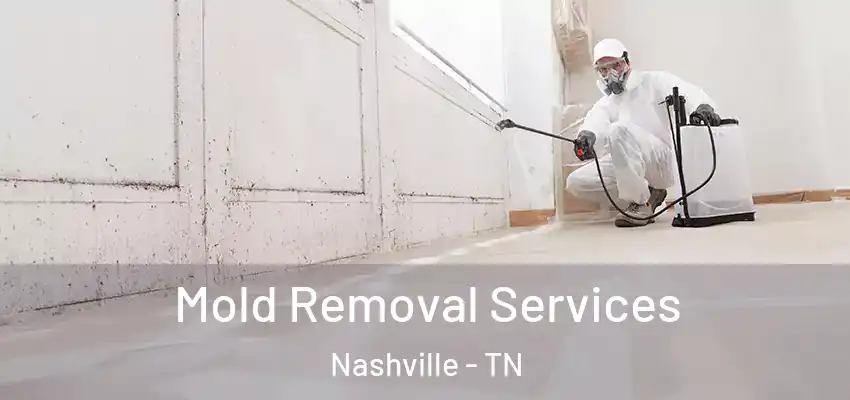  Mold Removal Services Nashville - TN