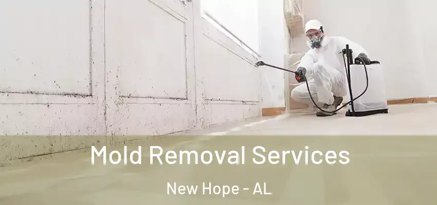 Mold Removal Services New Hope - AL