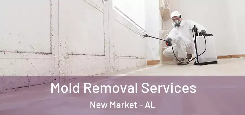  Mold Removal Services New Market - AL