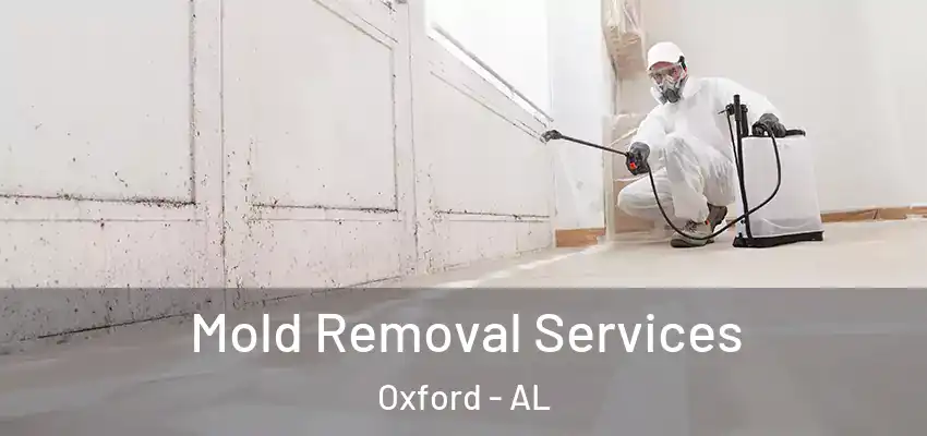 Mold Removal Services Oxford - AL