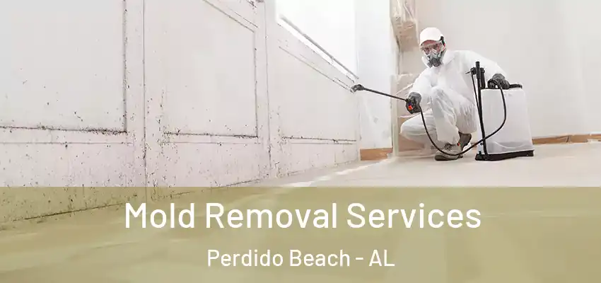 Mold Removal Services Perdido Beach - AL